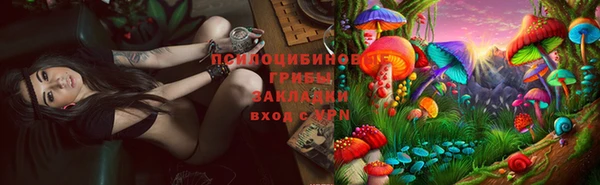 герыч Алзамай