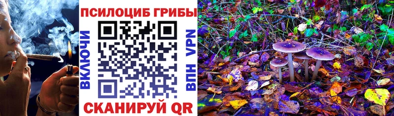 закладка  Кремёнки  Псилоцибиновые грибы MAGIC MUSHROOMS 